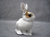 painted allach rabbit 61